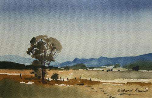 Beautiful Richard Rennie original watercolour (26x17.5cm) @ a LOW opening!!