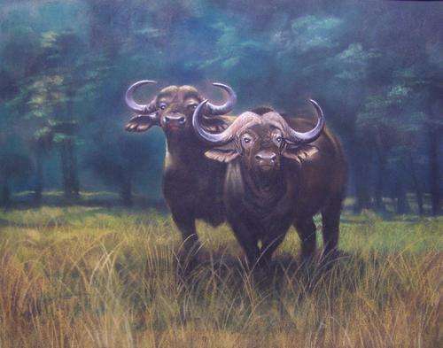 Bernard Sargent Original Wildlife. CRAZY R1 start!