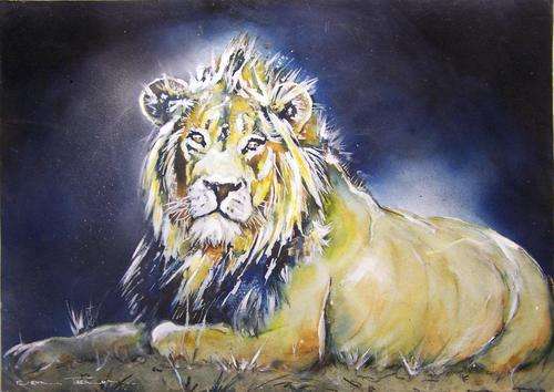 Beautiful Deon Theron Lion (70x50cm). LOW opening.