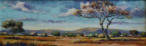 Robert Badenhorst original (45x15cm). Low opening!