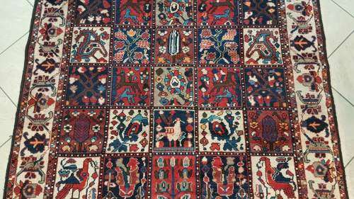 Persian bakhtiary Carpet 291cm x 160cm hand knotted (with certificate)