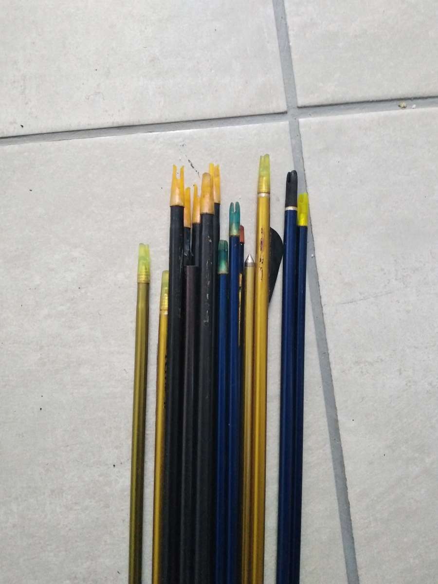 36 Archery Arrows