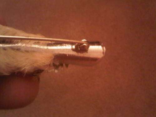 Scottish Grouse Claw Brooch