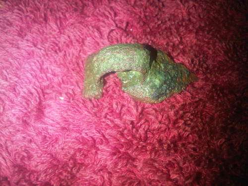 Very Old Byzintine Chest Lock