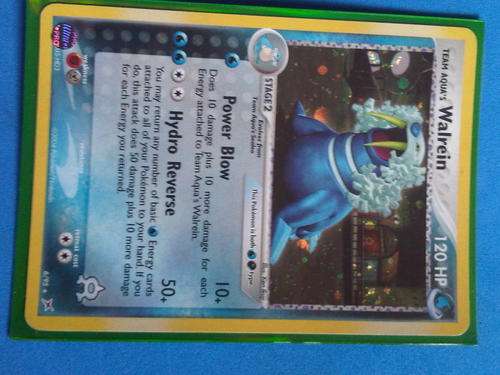 Pokemon : Holographic Walrein