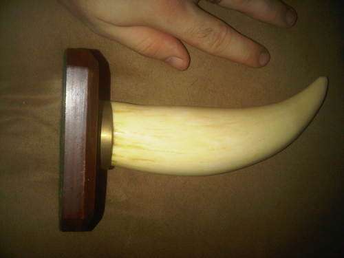Large Mounted Whale Tooth !