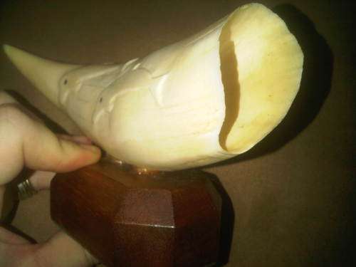 Large Mounted Whale Tooth With Dolphins