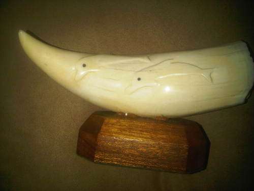 Large Mounted Whale Tooth With Dolphins