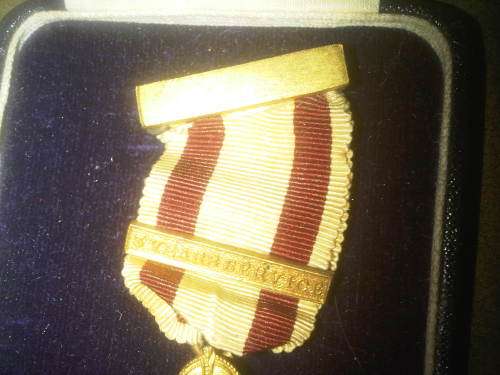 Red Cross Badge In Case