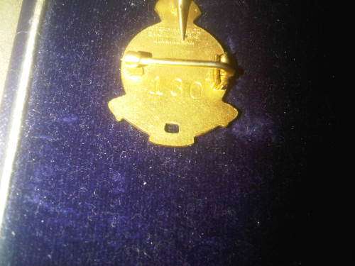 Red Cross Badge In Case