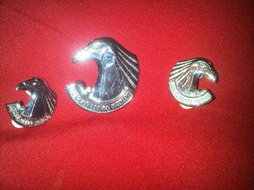 Vintage Humane Servi Homini Badges