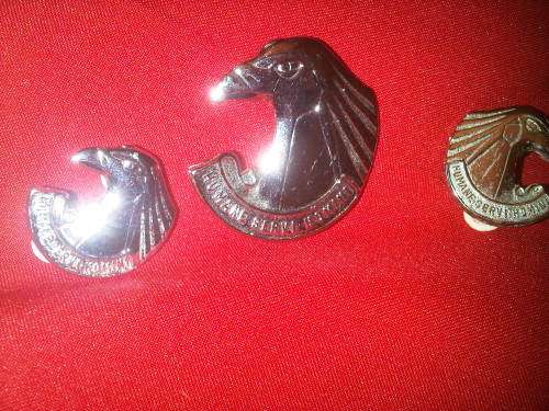 Vintage Humane Servi Homini Badges