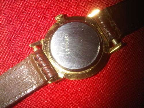 Vintage Delfin Edox Watch