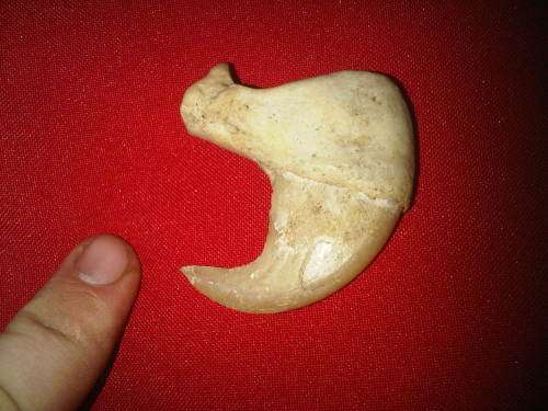 Large Wild Cat Claw