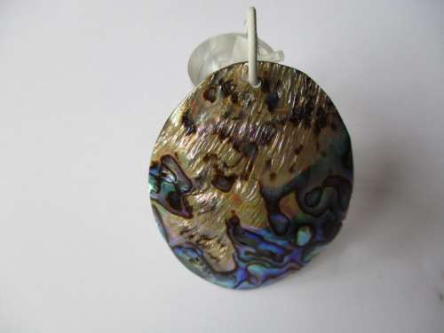 53.00 x 42.00 mm Paula Shell