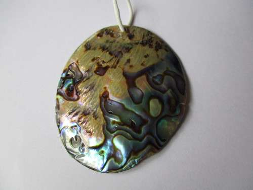 53.00 x 42.00 mm Paula Shell