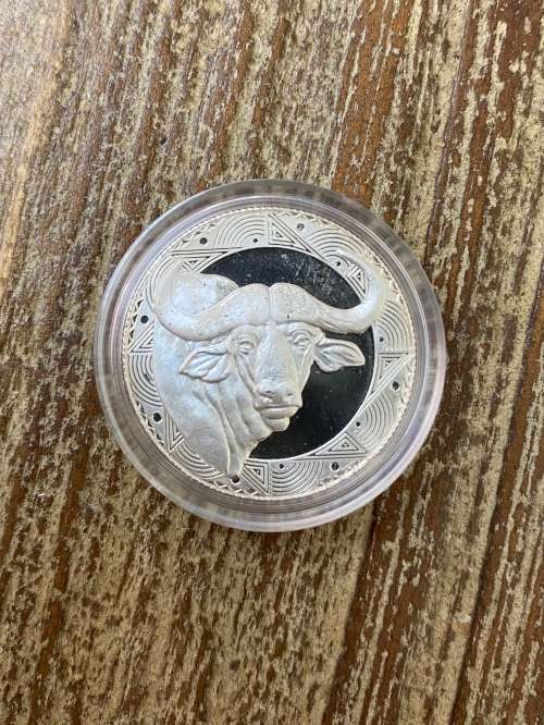 Big 5 series of five silver Proof medallions