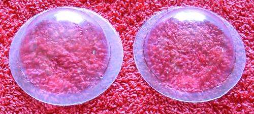 Fizz Ball Mould Plastic -  45 mm