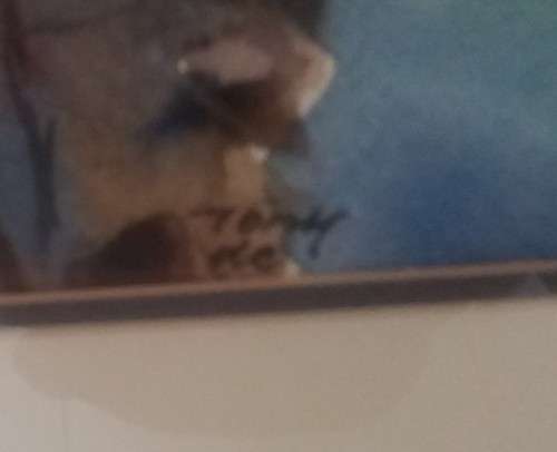 Water colour - Tony de Freitas