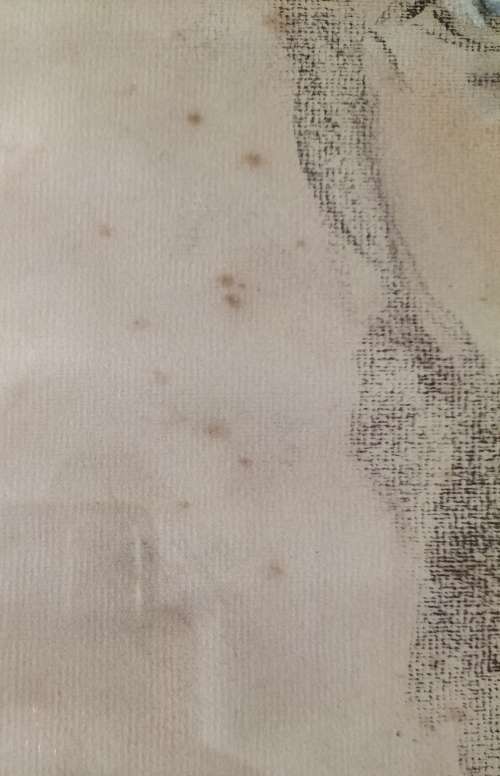 Ruth Prowse  - Pastel