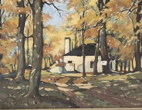 Douglas Treasure - Oil on canvas