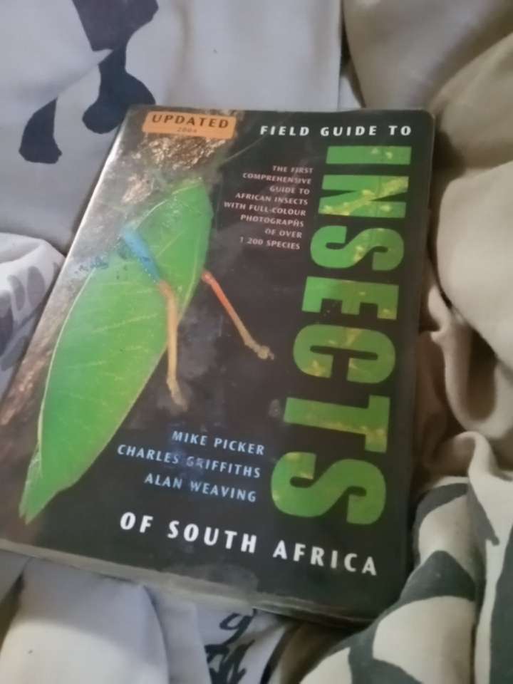 Insects of Southern Africa