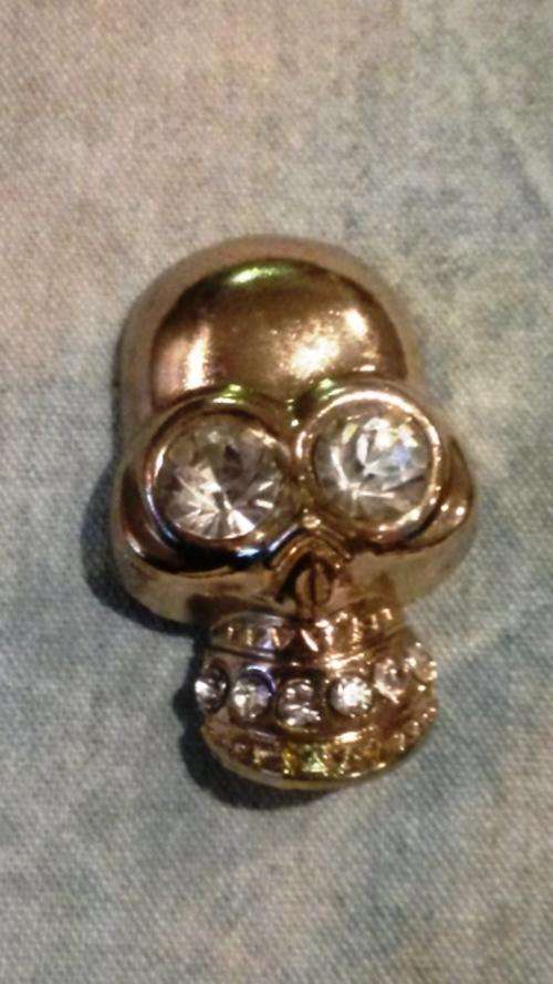 Alexander Mcqueen style skull ?? great repurpose item