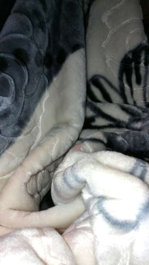 MINK ***Super Soft  Embossed Blanket-Quality Print (Assorted Prints) + FREE Bag