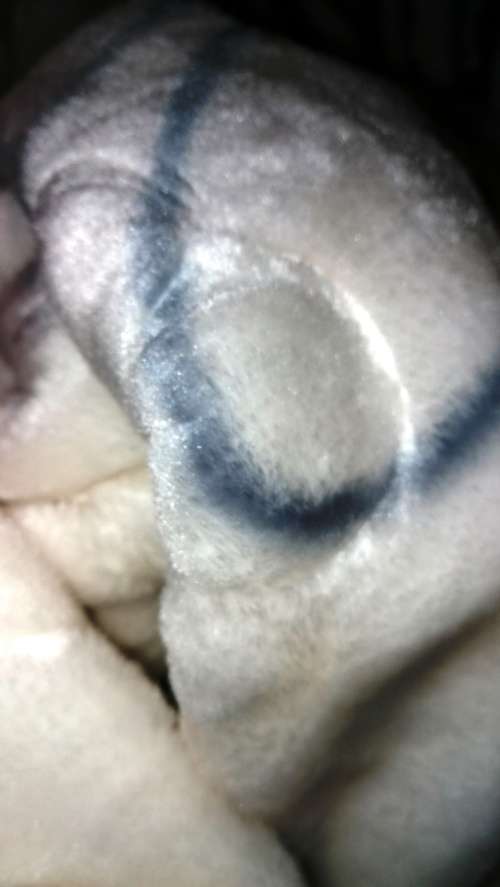 MINK ***Super Soft  Embossed Blanket-Quality Print (Assorted Prints) + FREE Bag