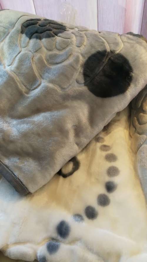 MINK ***Super Soft  Embossed Blanket-Quality Print (Assorted Prints) + FREE Bag