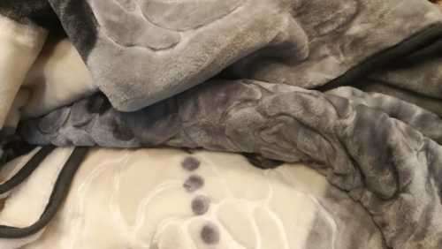 MINK ***Super Soft  Embossed Blanket-Quality Print (Assorted Prints) + FREE Bag