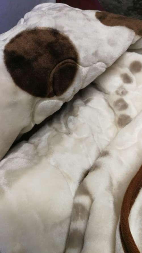 MINK ***Super Soft  Embossed Blanket-Quality Print (Assorted Prints) + FREE Bag