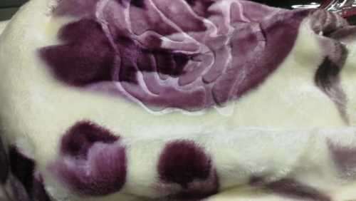 MINK Super Soft  Embossed Blanket-Quality Print (Assorted Prints) + FREE Bag