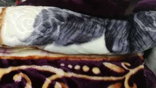 MINK *** EASTER SPECIAL **Super Soft  Embossed Blanket-Quality Print (Assorted Prints) + FREE Bag