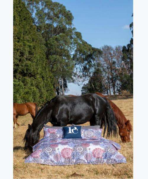 Luxury Arrivals stunning*GENUINE*Pierre Cardin Comforters.Quality:superb:queen*option upgrade -King