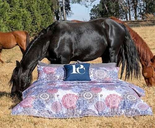 Luxury Arrivals stunning*GENUINE*Pierre Cardin Comforters.Quality:superb:queen*option upgrade -King