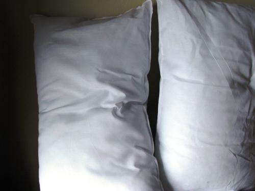 2-PACK STANDARD PILLOWS  - POLOY COTTON