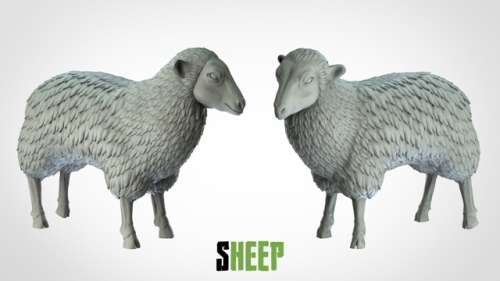 1:72 Scale - Sheep (5 Pack)