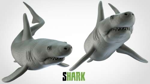 1:72 Scale - Shark