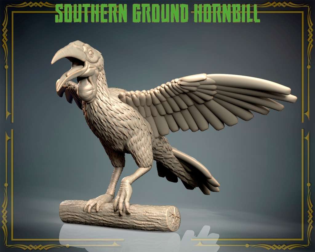 Animals Set 3 - Southern Ground Hornbill