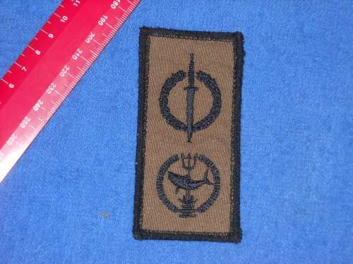 SADF SPECIAL FORCES ATTACK DIVER RECCE BADGE
