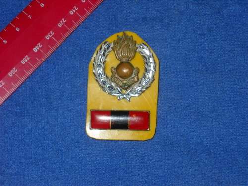 SADF ENGINEERS BERET BADGE + BALKIE + PINS