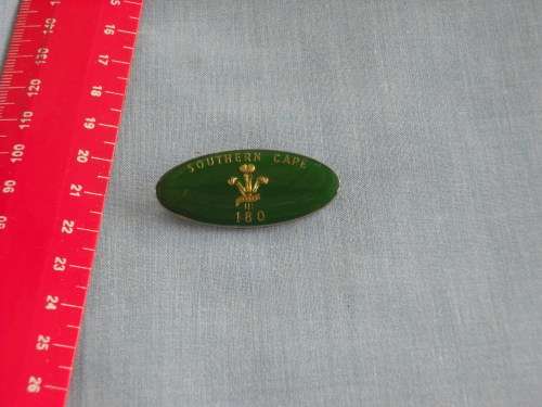 Sport Darts Badge/Pin Southern Cape 180 Score