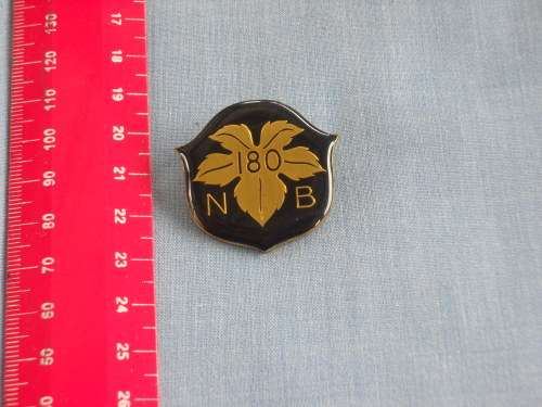 Sport Darts Badge/Pin Boland 180 Score