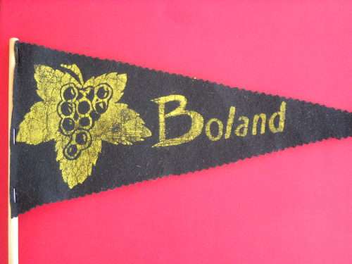 Rugby Pennant - Boland Rugby 1950/60