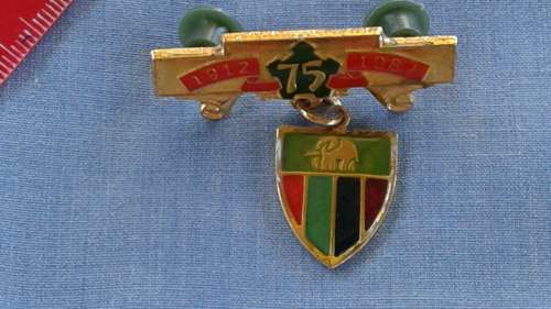 SADF - SA ARMY : E.P. 75 YEARS PIN-BADGE