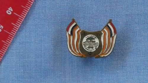 OLD    O.V.S. BADGE (FREESTATE / VRYSTAAT)