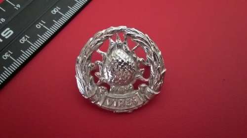 SADF - SA ARMY : Regiment Boland Badge (Pins intact)