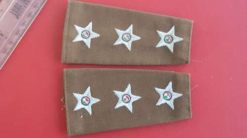 SADF - SA ARMY : Rank Captain Bush Set