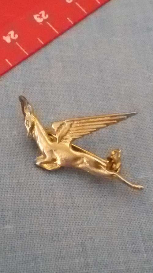 SAL - SAA SPRINGBOK (South Africa Airways) Pin